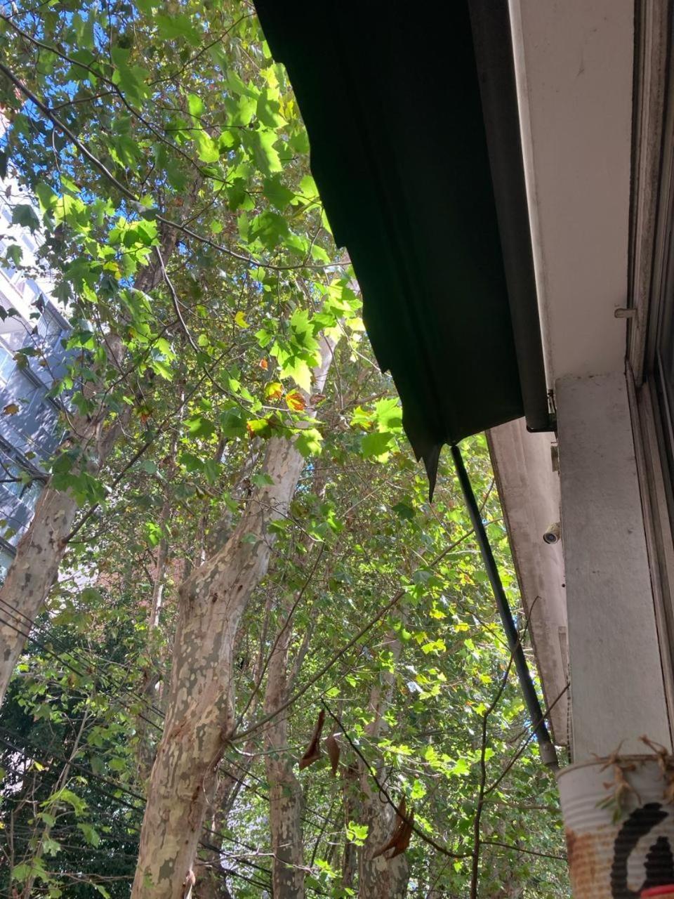 Apartment Ph 2 Amb X Escalera Plena Luz *